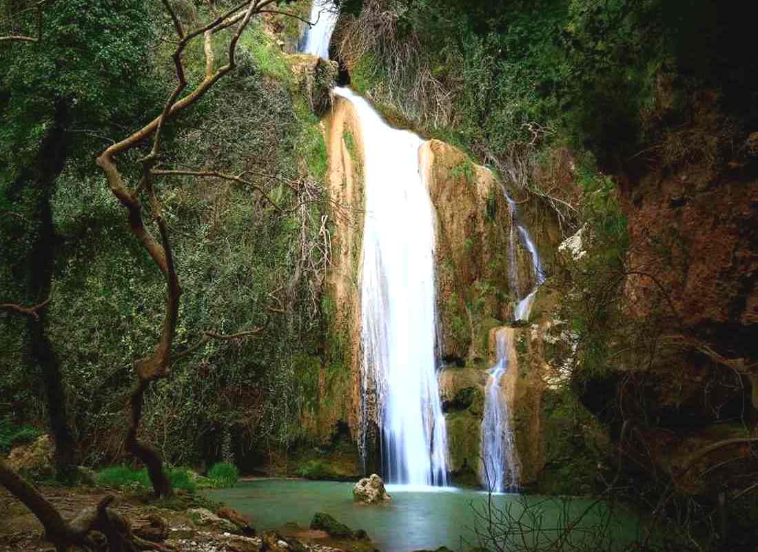 Галерея фотографій